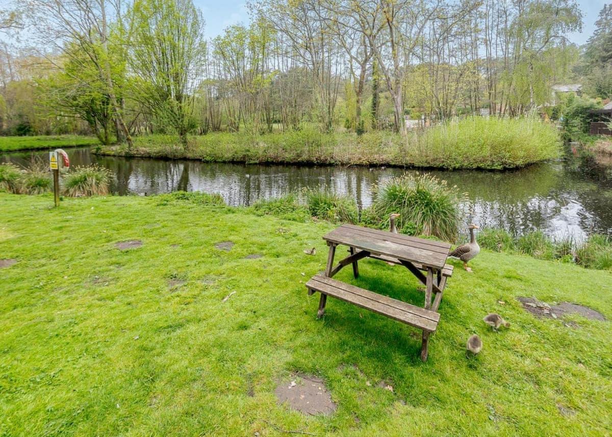 Parco vacanze Tilford Woods Retreat *