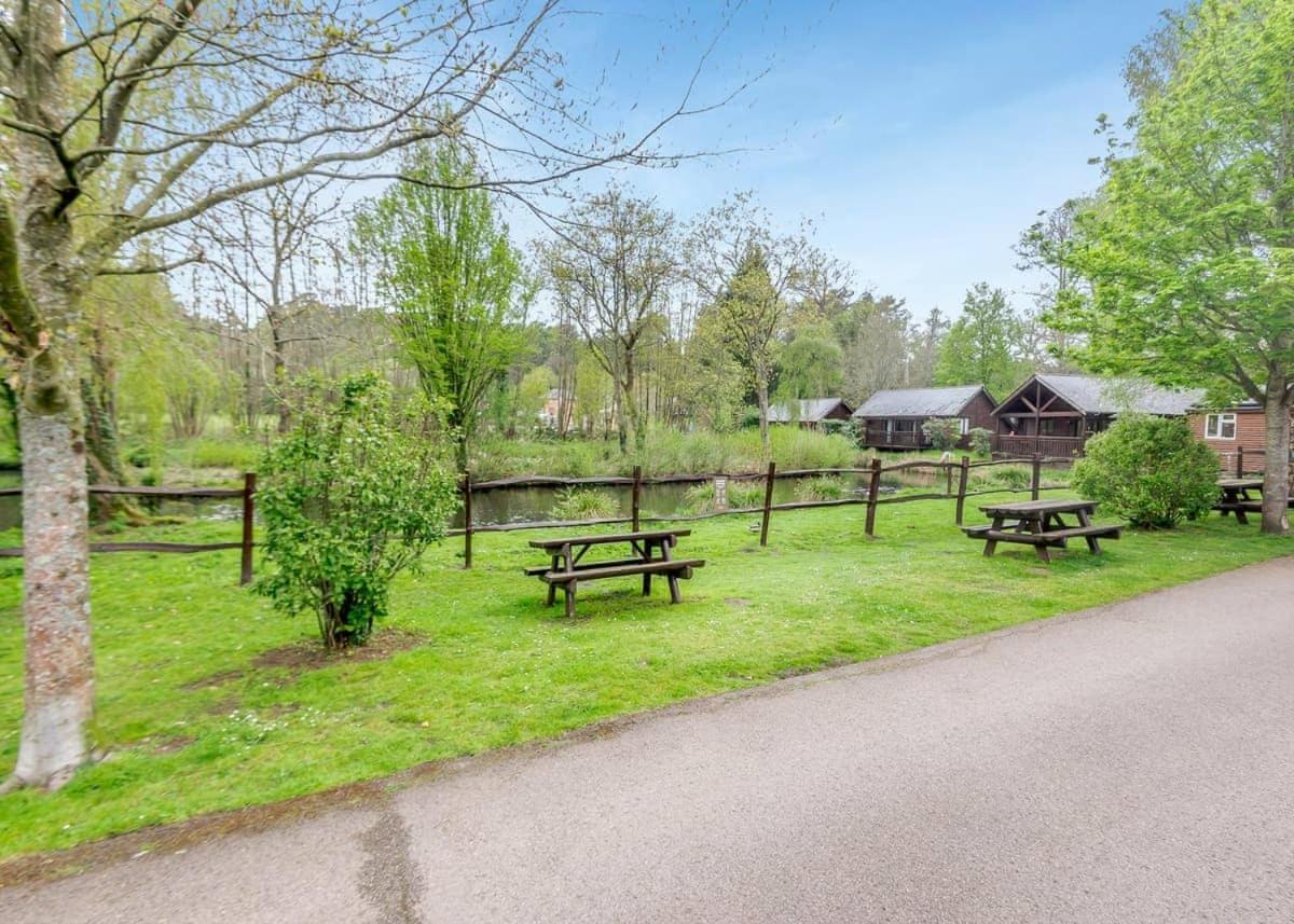 Tilford Woods Retreat Parco vacanze Farnham (Surrey)