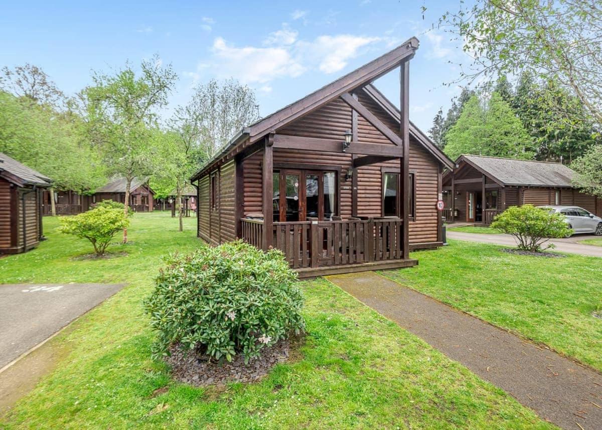 Parco vacanze Tilford Woods Retreat Farnham (Surrey)