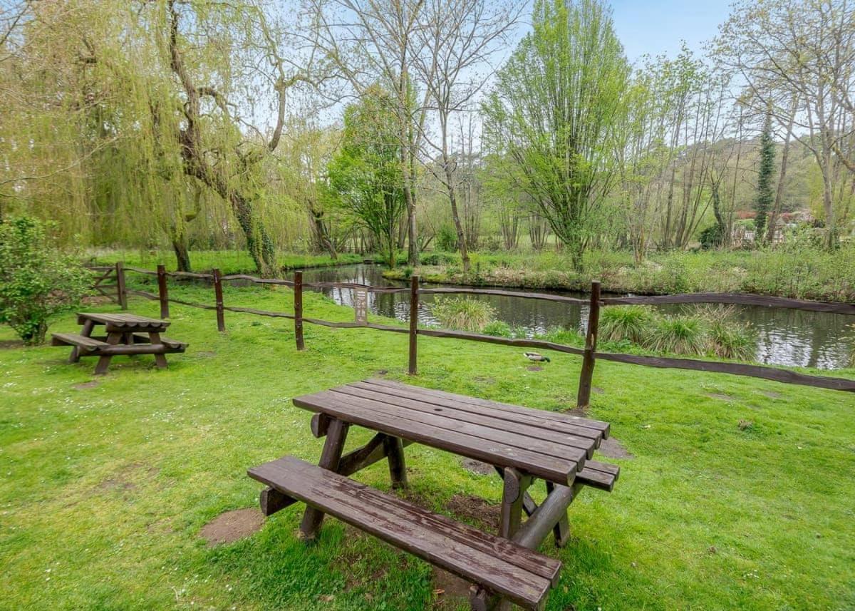 Tilford Woods Retreat * Farnham (Surrey)