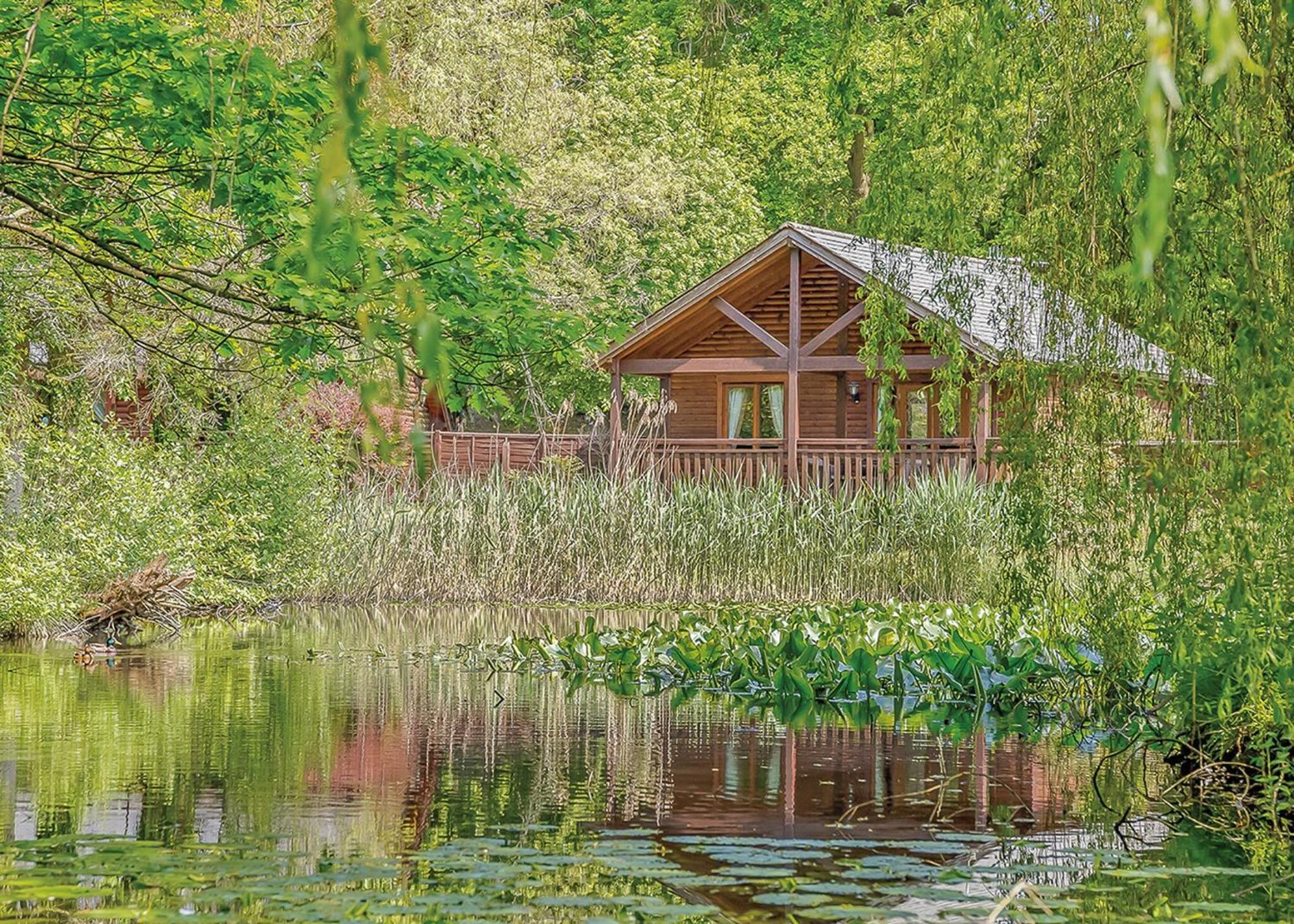 Tilford Woods Retreat * Farnham (Surrey)
