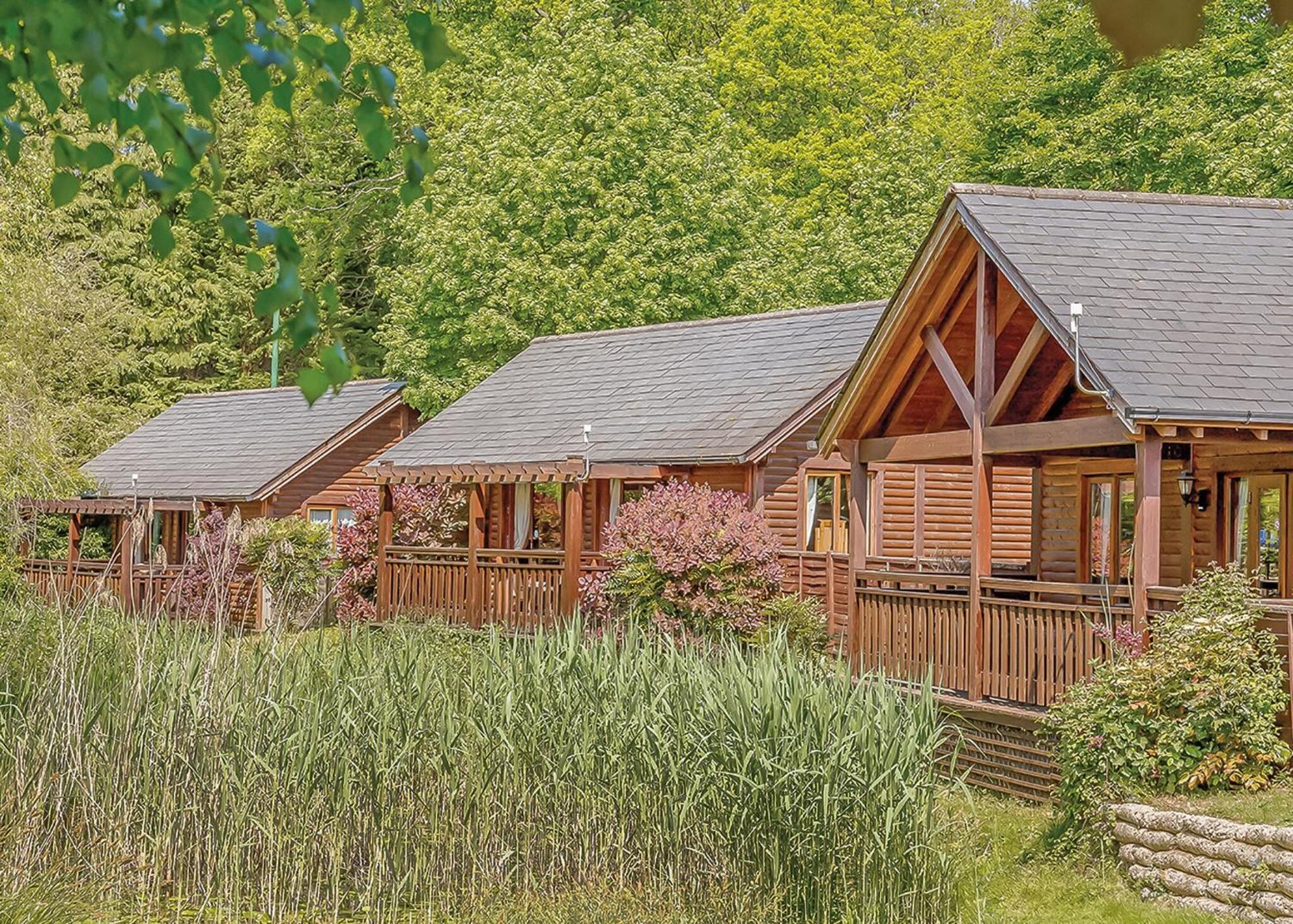 Tilford Woods Retreat Parco vacanze